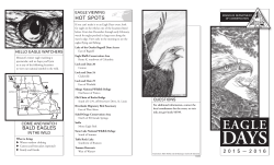 Eagle Days Flier pdf (1.7 MB)