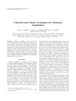 Raskoff, K. A., Sommer, F. A., Hamner, W. M., Cross, K. (2003). Collection and Culture Techniques for Gelatinous Zooplankton. Biological Bulletin, 204 , 68-80.