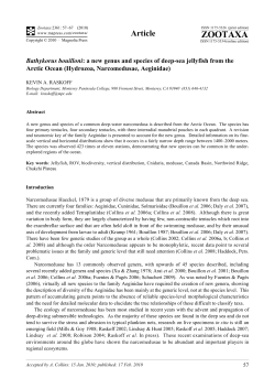 Raskoff, K.A. (2010) Bathykorus bouilloni : a new genus and species of deep&ndash;sea jellyfish from the Arctic Ocean (Hydrozoa, Narcomedusae, Aeginidae). Zootaxa.