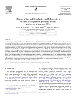 539.pdf