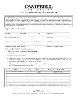 16.17 IV1 Independent Verification Worksheet