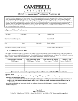 15.16 IV3 Independent Verification Worksheet