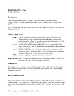 Light in the Deep Sea