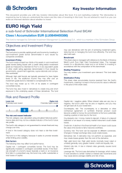 Key Investor Information Document
