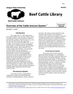 652.pdf