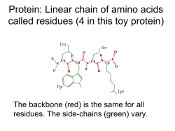 cs640_aminoAcids.pdf
