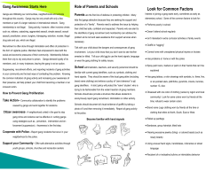 Gang Brochure