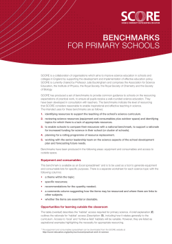 Benchmarks for primary schools