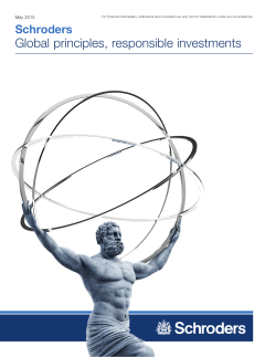 Global Principles, Responsible Investments Brochure