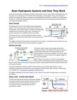 Basic Hydroponic Systems and How They Work
