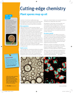 Cutting-edge chemistry