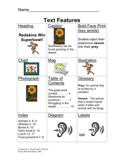 Text Features Chart