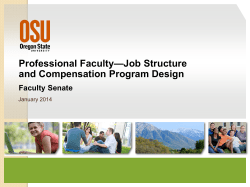 Professional Faculty &ndash; Job Structure and Compensation Program Design