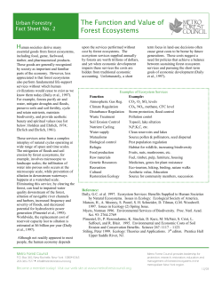 The Function and Value of Forest Ecosystems