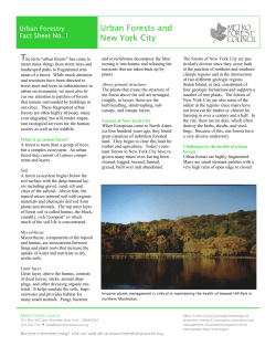 Urban Forests and New York City