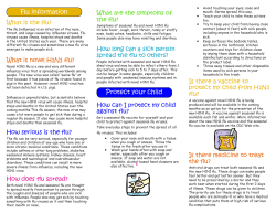 Flu Brochure09