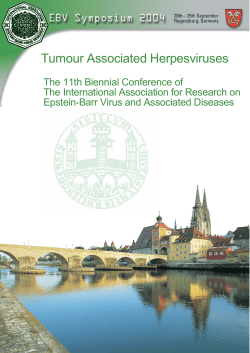 Eleventh International Symposium September 2004 program [PDF 1.85MB]