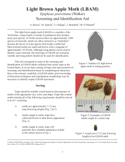 LBAM screening guide