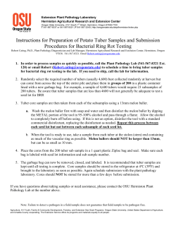 Instructions for Preparation of Potato Tuber Samples and Submission Procedures for Bacterial Ring Rot Testing