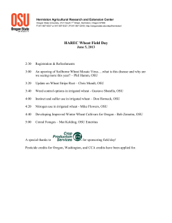 Irrigated Wheat Field Day