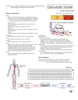 Circulatory System-Study Notes