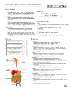 Digestive System-Study Notes