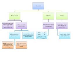 Flow Charts-Naming-Ionic-Periodic Trends