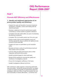 OIG Performance Report 2006 - 2007