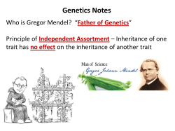 Genetics