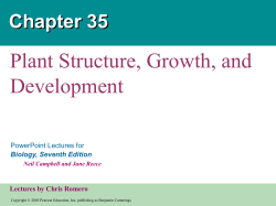 Plant Structure, Growth, development