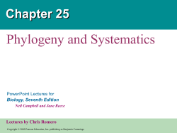 Phylogeny Systematics
