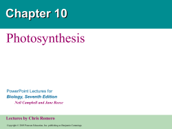 Photosynthesis