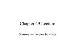 Chapter 49