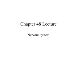 Chapter 48