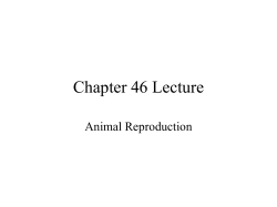 Chapter 46