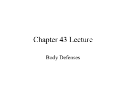 Chapter 43