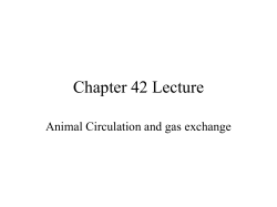 Chapter 42