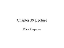 Chapter 39