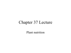 Chapter 37