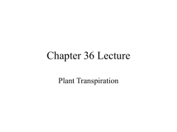 Chapter 36