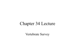 Chapter 34