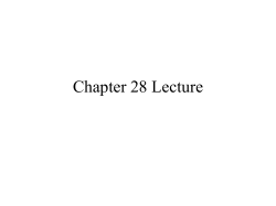 Chapter 28