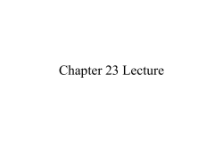 Chapter 23