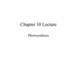 Chapter 10