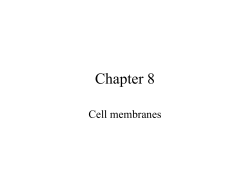 Chapter 08