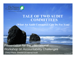 Tale of Two Audit Committees (What An Audit Committee Can Do For You)