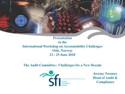 The Audit Committee: Challenges for a New Decade (SFI)