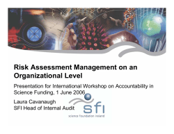 Risk Assessment Management on an Organizational Level