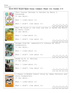 Chapter Book Comment Sheet