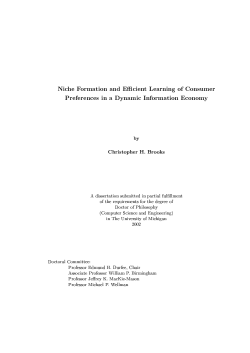 Niche Formation and Efficient Learning of Consumer Preferences in a Dynamic Information Economy.